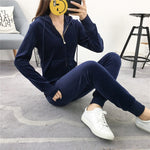 spring autumn sporting Suits Women Velvet Tracksuits Hooded Jacket Skinny Pants 2 Piece Set Sportswear femme plus size XXL